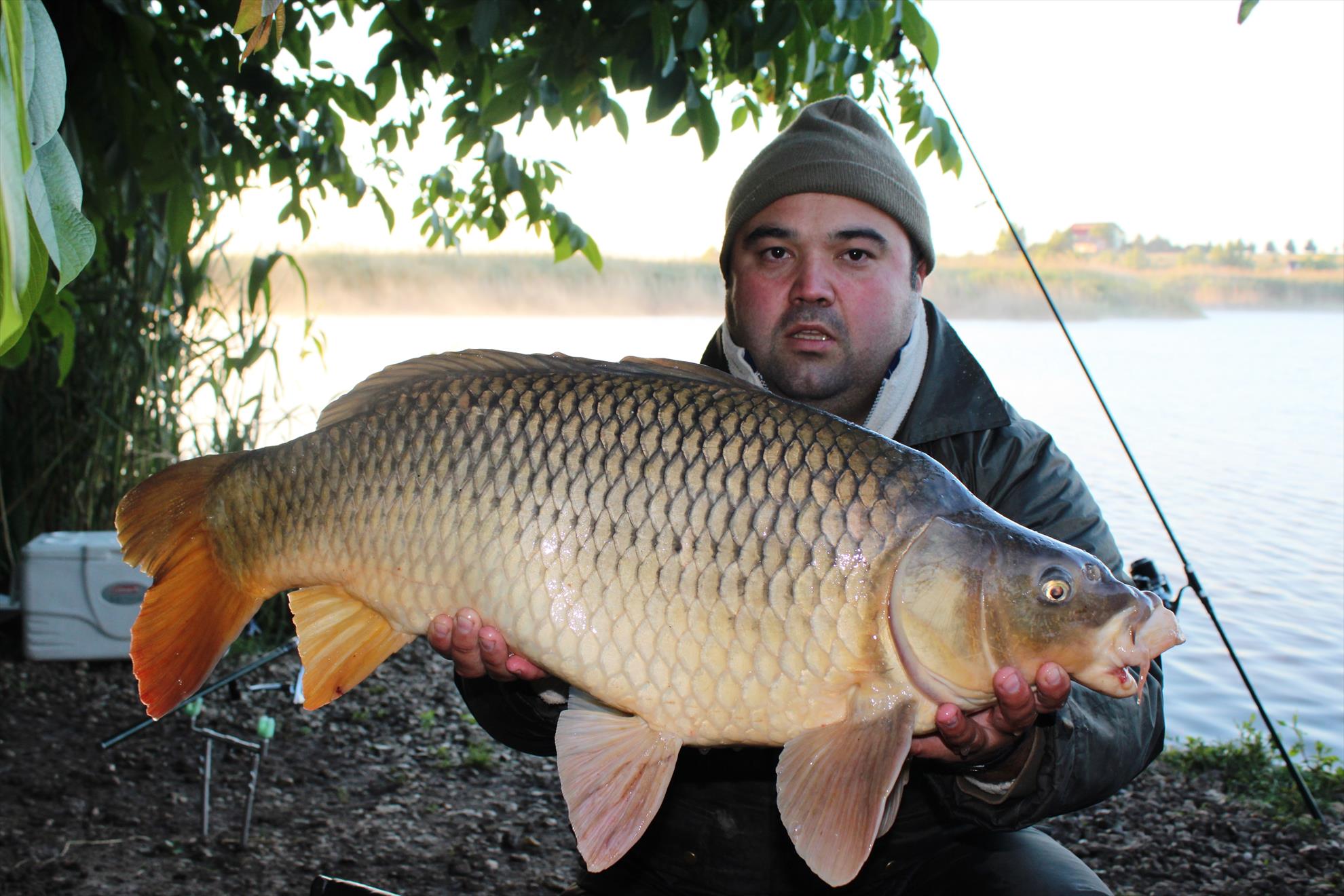 pescuit ,pur si simplu - img8594.JPG